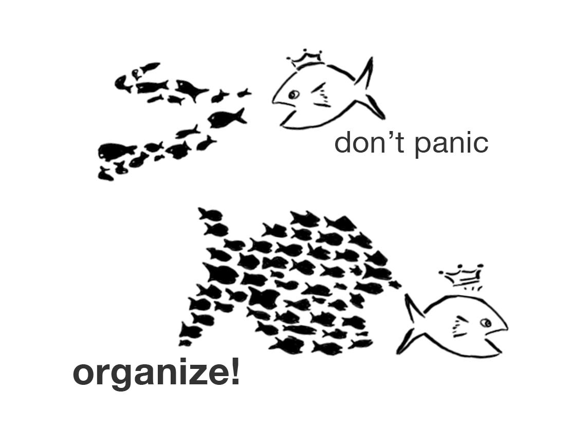 don't panic | organize!